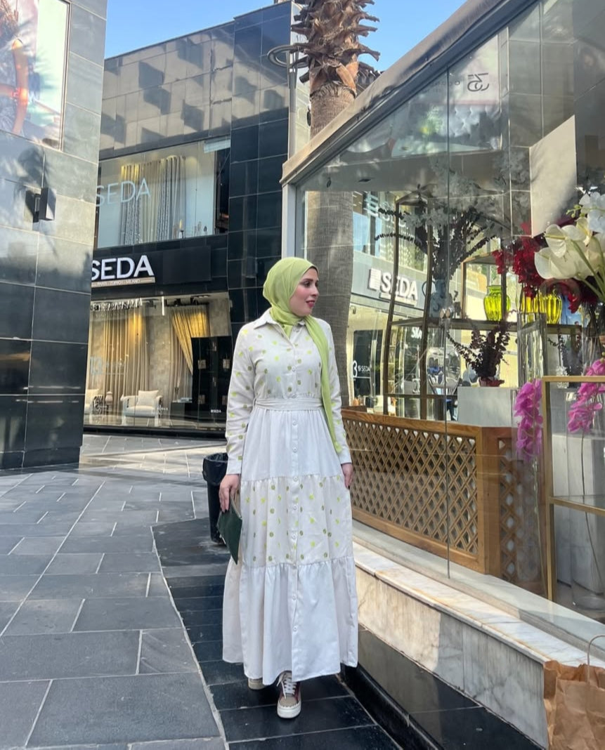 Embroidery dress